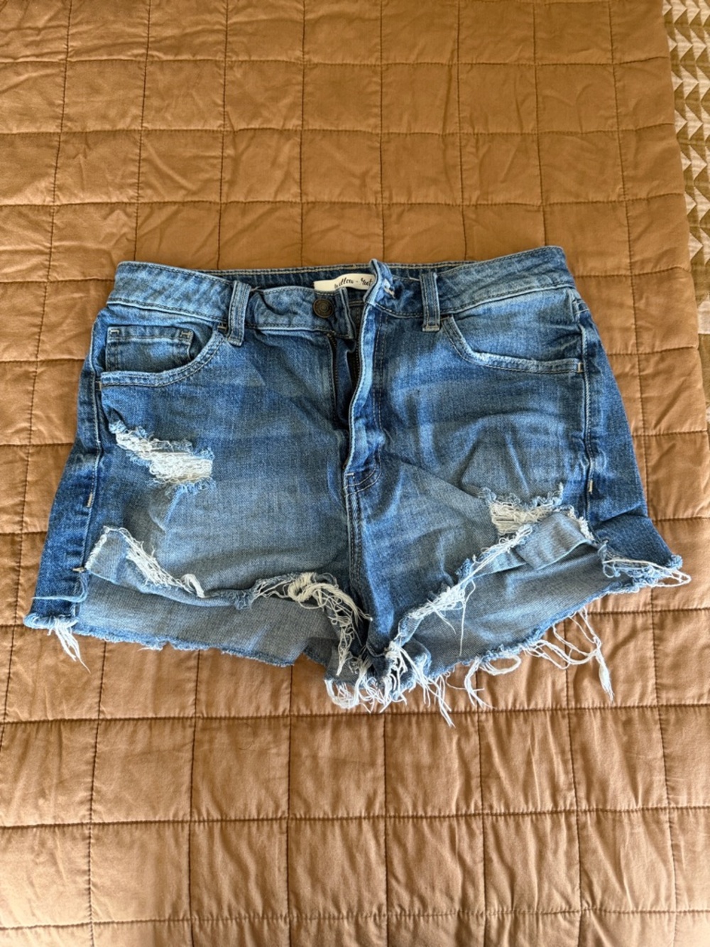 Distressed Blue Denim Jean Shorts - Casual Frayed Hem